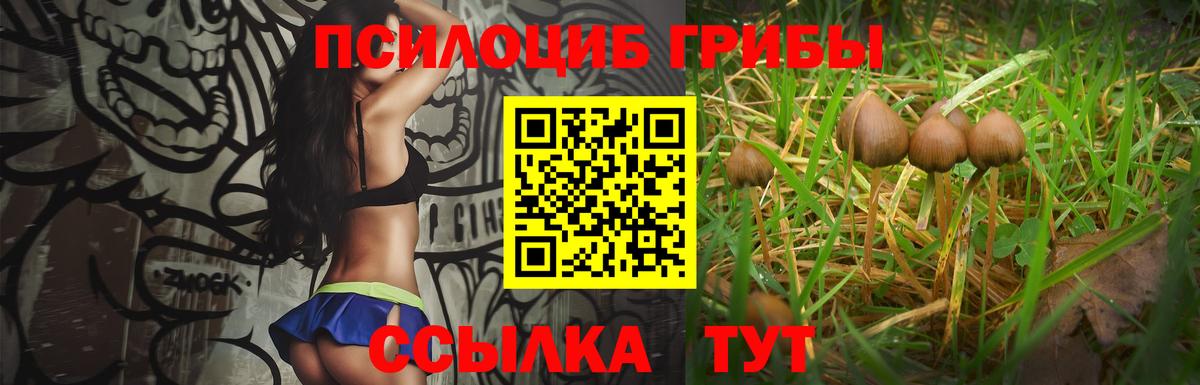 Псилоцибиновые грибы Cubensis Бугуруслан